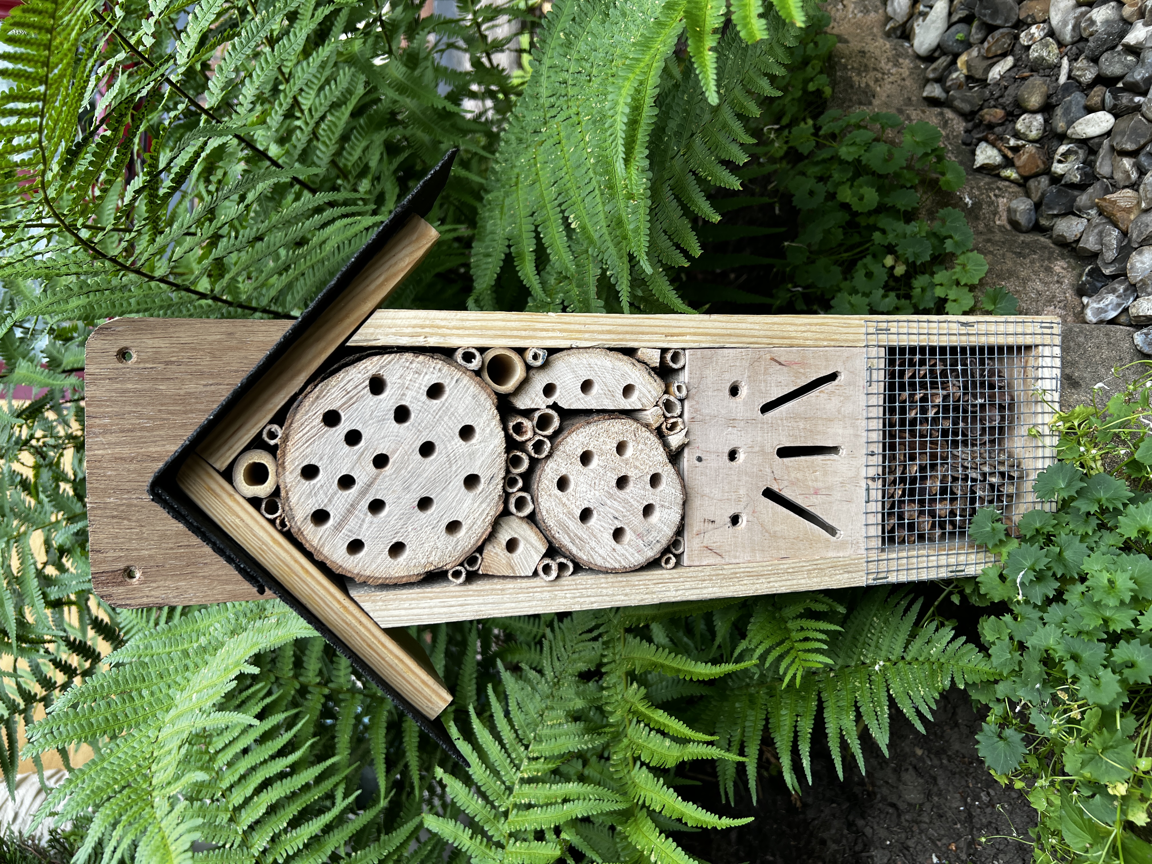 Photo de Hôtel insectes