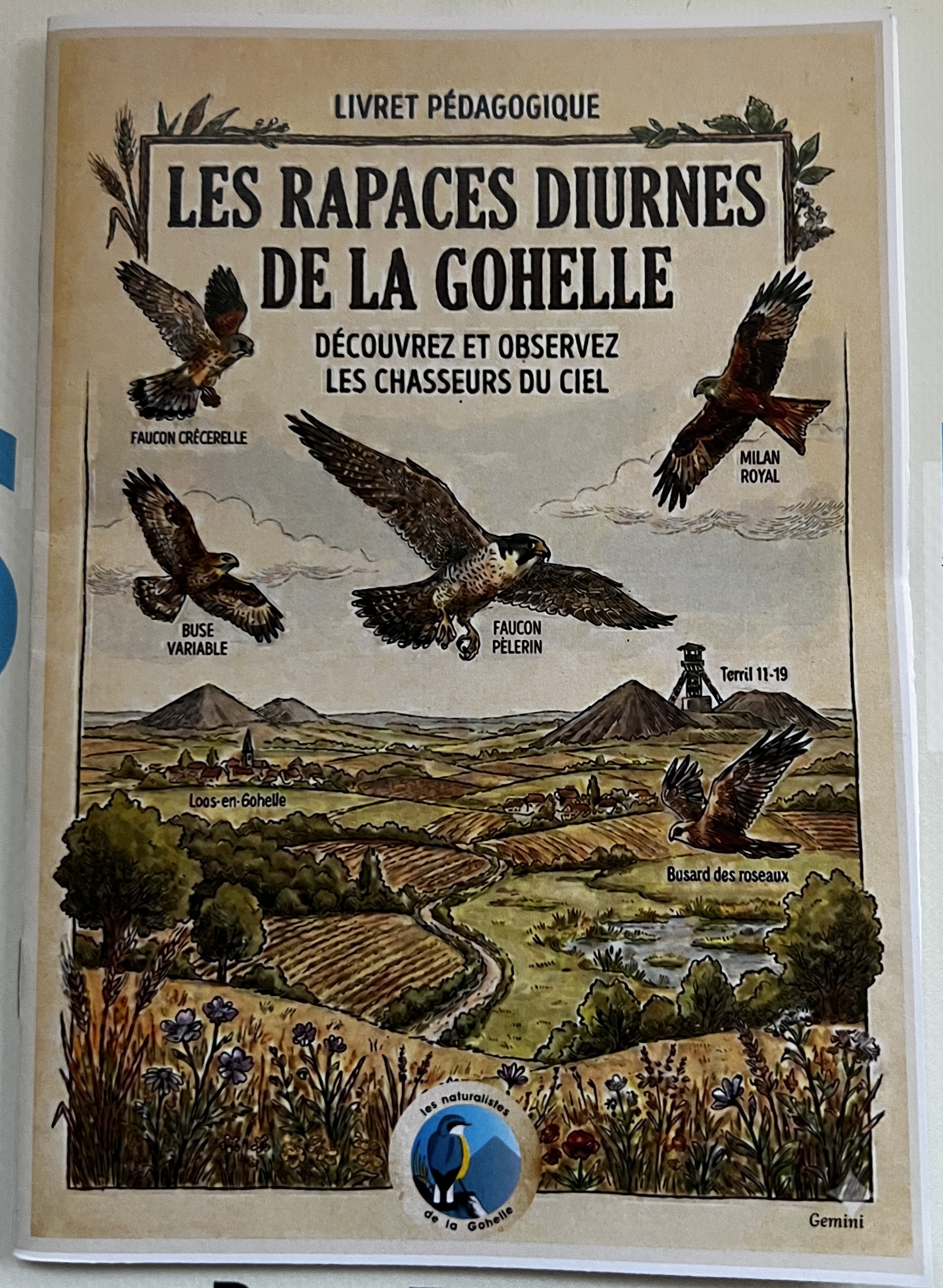 Photo de Livret rapaces diurnes de la Gohelle