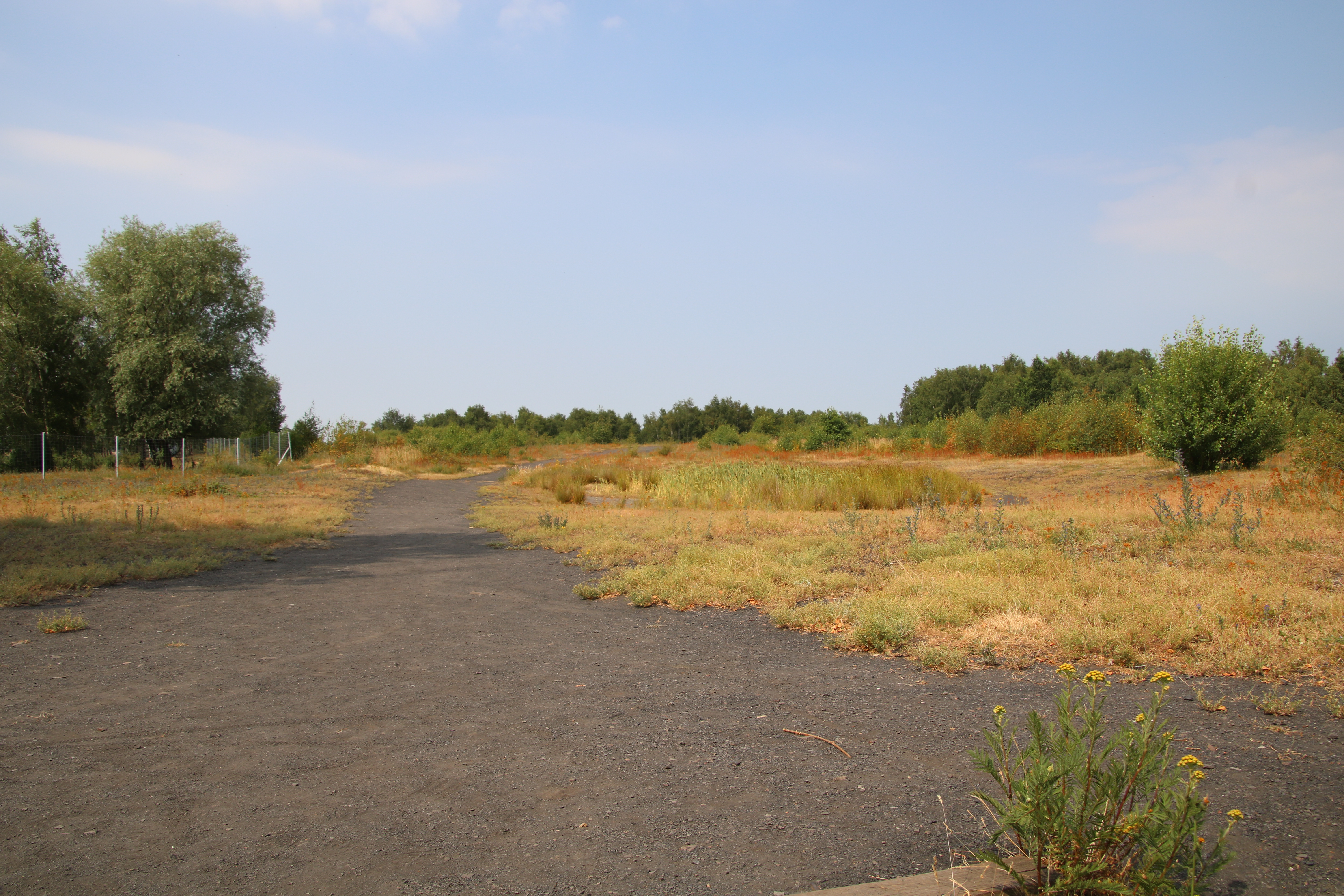 Le début de l'automne sur le terril de Pinchonvalles