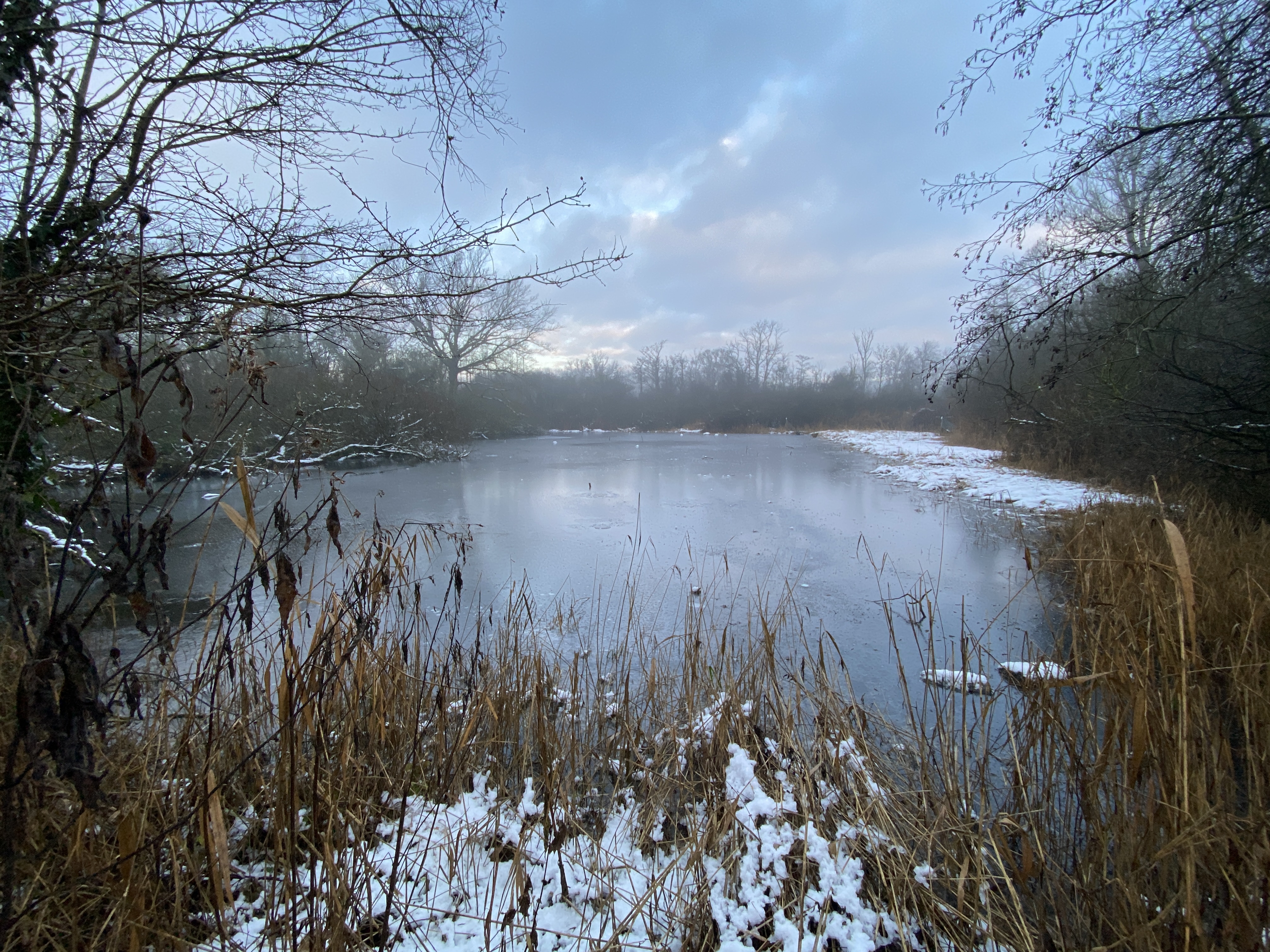 Comptage Wetlands 2026
