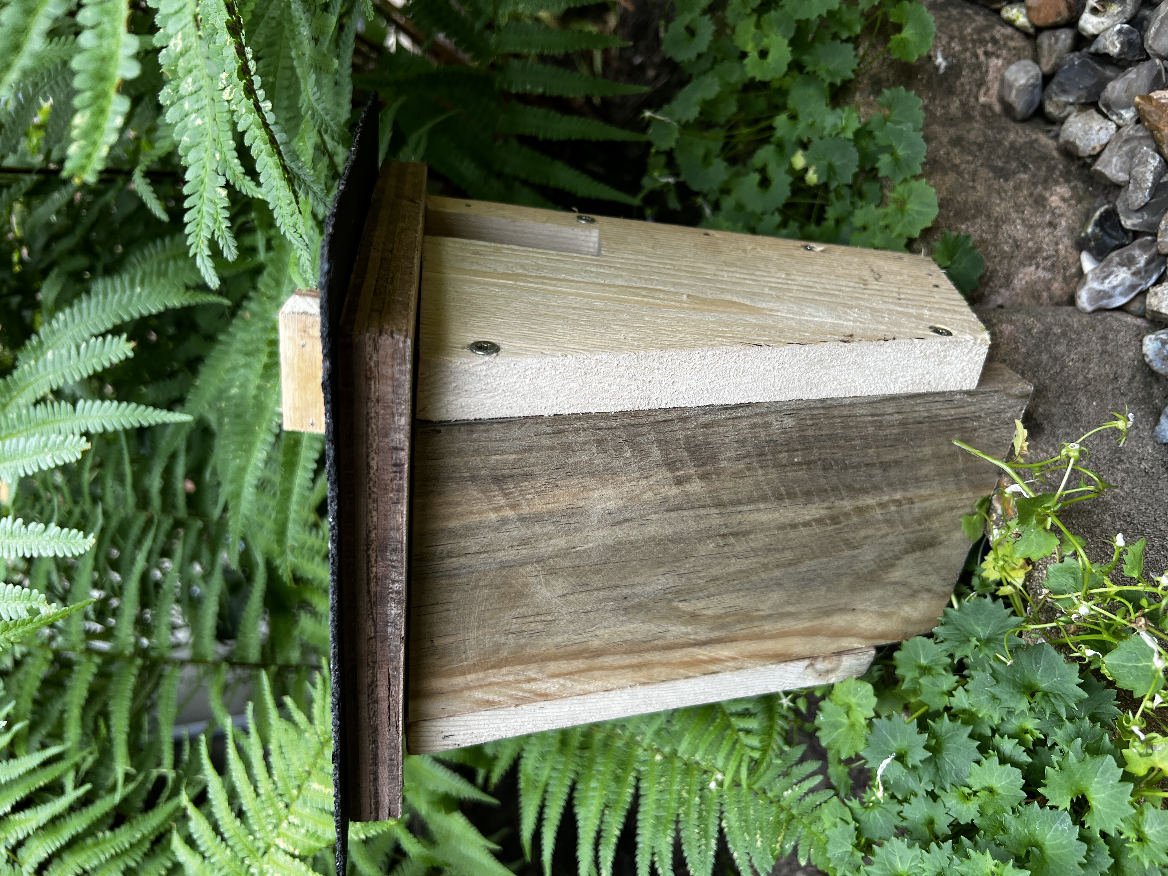 Notre dernière création nichoir grimpereau des jardins